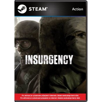 Insurgency