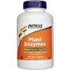 NOW Plant Enzymes rostlinné enzymy 240 rostlinných kapsúl