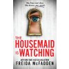 Housemaid Is Watching