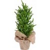 Umelý vianočný stromček Homla Do 100 cm