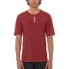 Salomon | ULTRA DAY - ALL MOUNTAIN SS TEE M | červená| M
