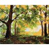 Maľovanie podľa čísel – Jesenný les krajina, 80 × 100 cm, napnuté plátno na rám 8596530057833