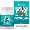 Liftea KOMBUCHA Pamäť a koncentrácia cps 60 ks