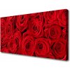 Obraz Canvas Ruže kvety rastlina 100x50 cm