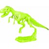 LEAN Toys 23339 Archeologická sada – svietiaca kostra dinosaura