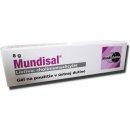 Mundisal gel.1 x 8 g