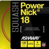 Ashaway PowerNick 18 9 m 1,15 mm