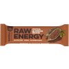 Bombus Energy tyčinka kakao a kakaové boby Raw 50 g