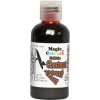 Magic Colours Airbrush barva Chestnut ABNUT dortis 55 ml