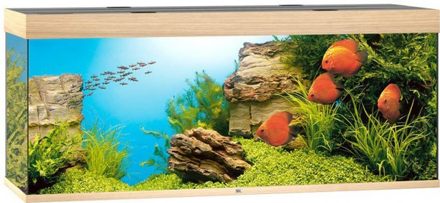 Juwel Rio LED 450 akvarijný set dub 151 x 51 x 66 cm, 450 l