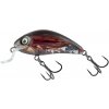Salmo Wobler Rattlin’ Hornet Shallow Bright Beetle - 3,5 cm - 3 g