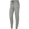 Nike Park 20 Fleece dámske nohavice - tepláky šedé CW6961 063 S