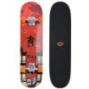 Skateboard SCHILDKROT Kicker 31