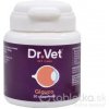Dr. Vet Glauco výživa očí pre psy a mačky 30 tbl