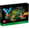 LEGO Ideas 21342 Zbierka hmyzu