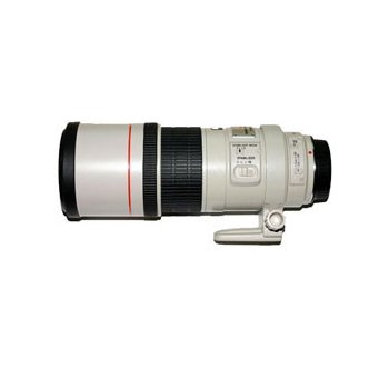 Canon 300mm f/4L IS USM