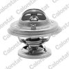 Termostat chladenia CALORSTAT by Vernet TH5699.85J TH5699.85J