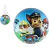 Teddies Lopta Tlapková patrola/Paw patrol nafúknutý 23cm