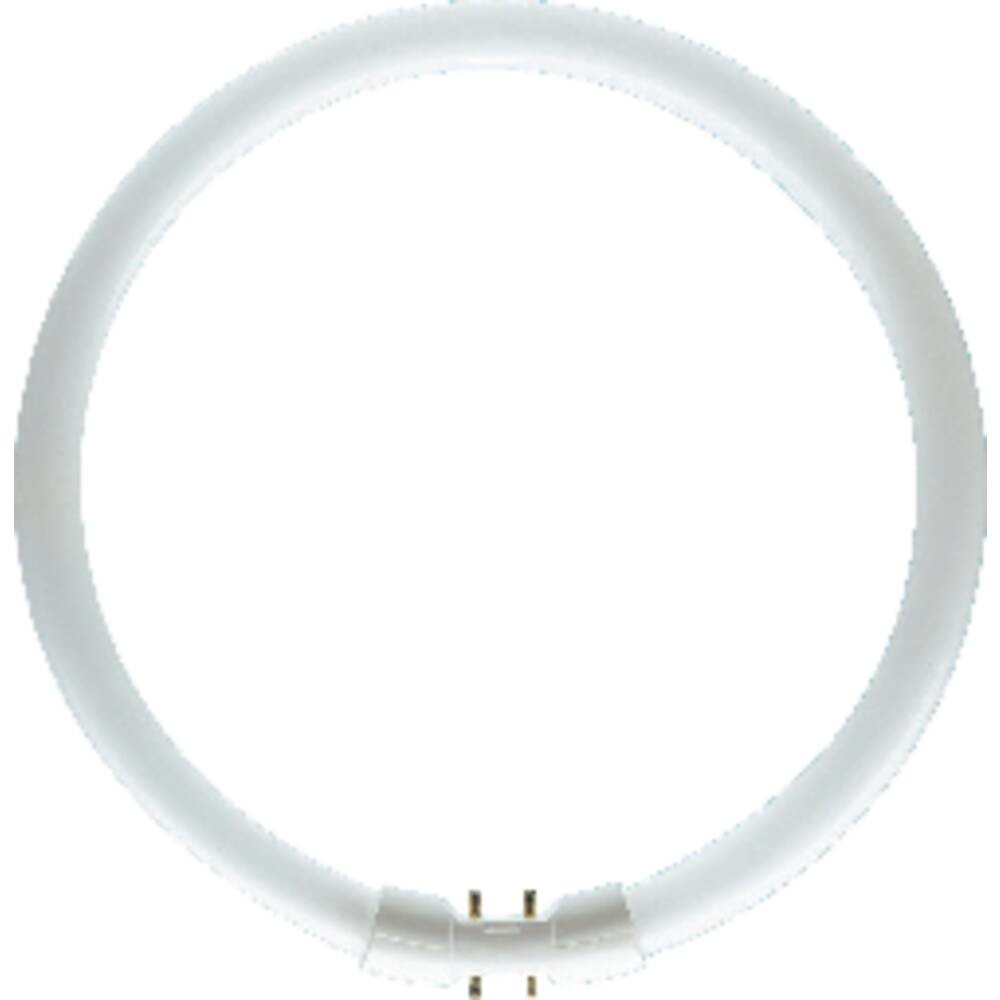 Osram žiarivková trubica : G A G 2GX13 22 W neutrálna biela 840 kruhová žiarivka