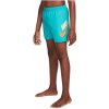 Chlapčenské plavky NIKE SWIM-WAFFLE SWOOSH 4 inch DUSTY CAC-DUSTY CACTUS Žltá XL