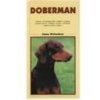Doberman - výcvik kŕmenie výstavy chov - Richardson Jimmy
