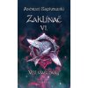 Zaklínač - Věž vlaštovky (brožovaná) - Andrzej Sapkowski