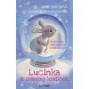 Lucinka a zraněný králíček - Anne Boothová