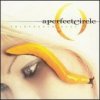 Perfect Circle - Thirteenth Step [CD]