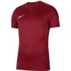 Nike Dry Park VII Jr BV6741 677