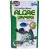 Hikari Algae Wafers 82 g