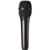 Audio-Technica AT2010