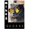 Mikeš Plakat Premium 70x100cm