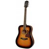 Richwood Artist Series RD-16-SB