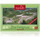 TianDE Fytonáplasť Zhui Feng Forte 4 ks