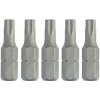 DeWALT Bit šroubovací Torx 25-T25-5