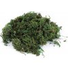 Dekoračný prírodný mach 250 g - 1 sáčok zelená