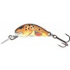 Salmo Wobler Hornet 3,5cm Floating Trout
