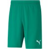 Pánske športové kraťasy Puma TEAMRISE SHORT zelené 704942-05 - L