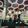 BLOSSOMS - FOOLISH LOVING SPACES (1VINYL)