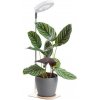 Kobi | LED stmievateľná stolná lampa na pestovanie rastlín VERDI LED/5W/5V 1300K biela | 004320