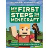 My First Steps in Minecraft