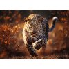 TREFL Premium Plus Photo Odyssey Divoký leopard 1000 dielov