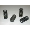 BARNE SPRINGS CLUTCH