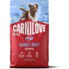 CARNILOVE ACTIVE Dog Dry Made with Salmon & Turkey for Puppies 4 kg