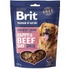 Brit Premium by Nature Dog Semi-moist Snacks Beef with Apples 180 g