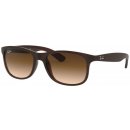 Ray-Ban 4202 607313