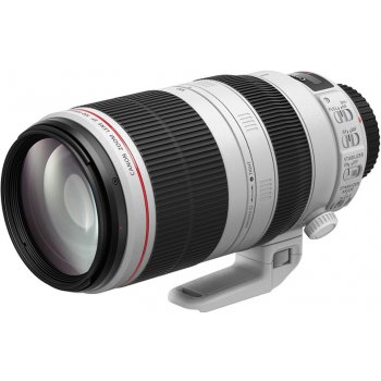 Canon 100-400mm f/4.5-5.6L IS USM