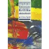 Kritika abstraktních principů