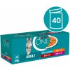Purina One Adult jahňací morské ryby kura hovädzí v šťave 40 x 85 g
