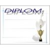 Diplom 2